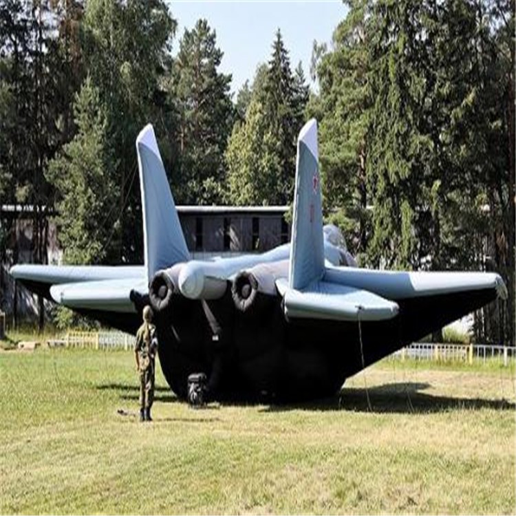 灵武充气飞机模型
